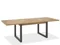 EXTENDING DINING TABLE 6-10 SEATER